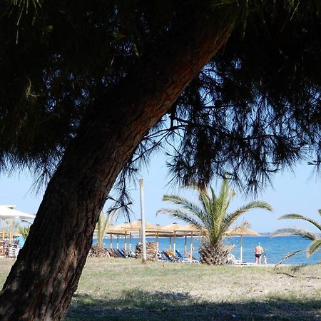 Sunshine Apartment Paralia Dionysiou Exteriér fotografie